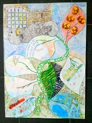EcoCod_CSC_25.jpg