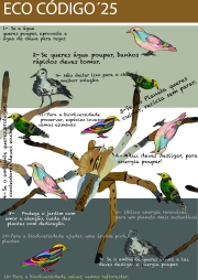 ECOCODIGO25-01.jpg